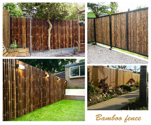 Valla de Bambú de Vietnam, Ecológica, Fácil de Montar, Respetuosa con el Medio Ambiente, para Exteriores - Product Image 5