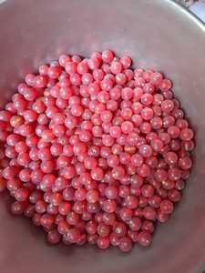 Vente en gros de perles de verre au chalumeau uniques faites à la main cristal doré soufflé à la main exquis avec finition arc-en-ciel de forme carrée - Product Image 5