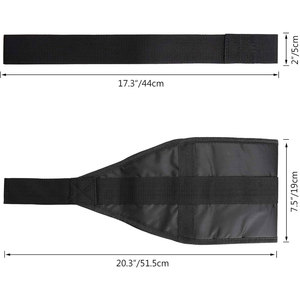 Geo Brother Co - Correa de Ejercicio Abdominal para Entrenamiento de Fuerza del Core, Barra Horizontal Acolchada para Dominadas, Bandas de Resistencia para Abdominales - Product Image 5