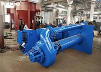 65-QV-SP Pompa Lumpur Vertikal Tahan Abrasi Kopling Langsung Pompa Sump Pompa Spindle Suku Cadang
