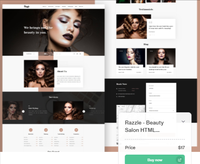 Pack de développement de site web e-commerce de marketing numérique professionnel CakePHP SEO avec support 24/7 B2B/C2C Logiciel Google