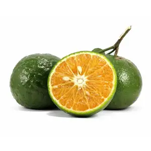 LARANJA VERDE FRESCA DO VIETNAME COM MELHOR QUALIDADE | | Sra. Esther (WhatsApp: + 84 963590549)