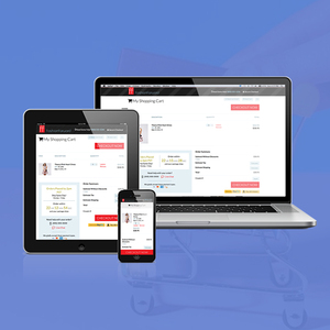 Shopping Cart Website Design and Development Company in India | Shopping Cart Software Development Services by Webroot Infosoft - Product Image 3