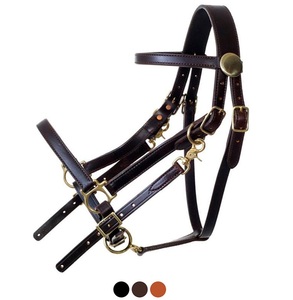 Shemax Standard Halter Brida Caballo Productos - Product Image 5