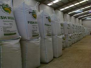 Alimentos para pollos Alimentos a granel Alimentos para animales/Maíz amarillo Alimentos para pollos Premium Halal Frozen/Pies de pollo Paws Wings - Low Fat - Product Image 5