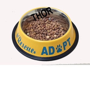 สแตนเลสยางฐานไม่รั่วไหลสุนัขสัตว์เลี้ยงชามป้อน - Product Image 1