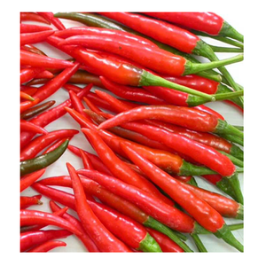 กระป๋องสีแดงพริกดองสีเขียวพริกเค็มเผ็ดพริกใน Jar ผู้ผลิตจากเวียดนาม - Product Image 6