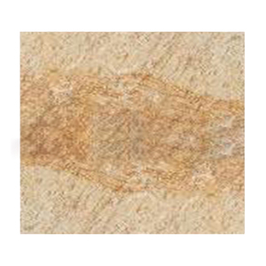 Decoración de suelo de sala de estar, piedra de pizarra de primera calidad pulida dorada, aspecto lujoso, 2021 - Product Image 1