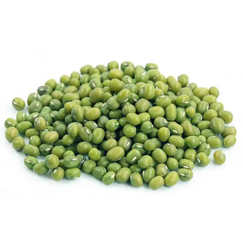 Kacang Hijau Berkualitas/Hijau Gram /Moong Dal/Kacang Vigna-Harga Bagus