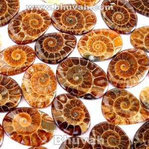 ซื้อส่วนลดในการขายร้อนล่าสุดสต็อกใหม่ล่าสุด Ammonite เครื่องประดับอัญมณีหลวมหิน Cabochon - Product Image 2