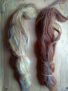 Pelo de cola de caballo de alta calidad para hacer cepillos de tela con temática de animales con estilo Estándar de exportación superior - Product Image 2