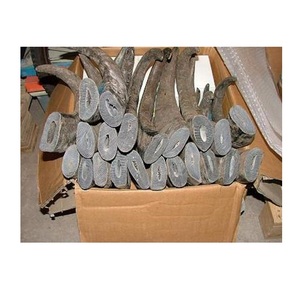Pointes en forme de corne pastèque non polies, 50 pièces, pointes naturelles en corne, de style bodum thule, de l'inde, pour emballage en carton - Product Image 1