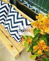 OFERTA ESPECIAL: Sofá de Madera de Pino, Muebles Resistentes para Exteriores, Fabricación Vietnamita