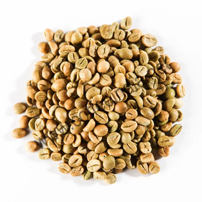 Nhà Máy Cung Cấp Robusta Green Coffee Bean Tại Giá Bán Buôn Ấn Độ-Coffe Là Đặc Biệt Nhất Của Đồ Uống Cung Cấp