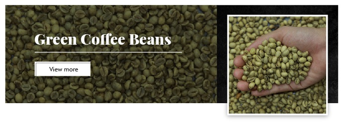 High Quality Medium Roast Bitter Arabica Robusta Culi Coffee Number 2 With 1 Year Shelf Life From Vietnam