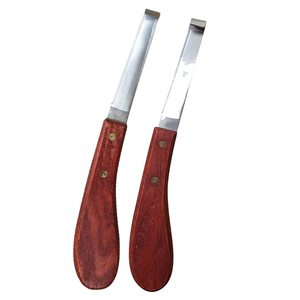 Per <span class=keywords><strong>Swiss</strong></span> strumenti veterinari riutilizzabili per la cura del cavallo coltelli a lama affilata con anello di forma ovale per la diagnostica di rifilatura - Product Image 1