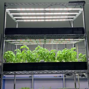 Système de culture hydroponique de micro-légumes avec éclairage LED, étagère en fil d'acier <span class=keywords><strong>Koray</strong></span> GK12045 G12045 2021 - Product Image 2