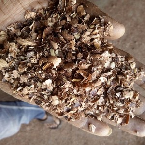 Vente en gros de poudre de noix de cajou pour l'alimentation animale granulés de noix de cajou déchets agricoles coquille de cajou alimentation animale - Product Image 2