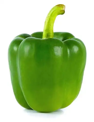 Frischer grüner Paprika/frischer Paprika aus Vietnam