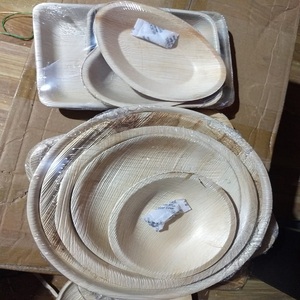 Vajilla desechable de hoja de Areca ecológica Natural 100%, Platos y platos con patrón de plantas grabados a mano para acampar - Product Image 5