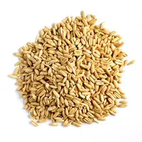 Cheap Organic Hulled oats for Hot Price Sale