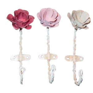 Bienvenido a elegir y comprar en nuestra tienda Rosa ganchos de hierro y perchas percha puede traer un crujiente siento - Product Image 1
