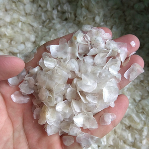 ตาชั่งปลาช่อนอบแห้งทำจากเวียดนาม,Axel + 84 38 776 0892 - Product Image 5