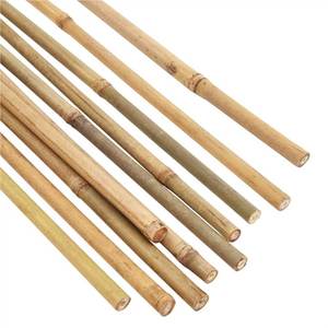 Sustainable Bamboo <b>Stakes</b> Canes/ Bamboo <b>Stakes</b> <b>for</b> <b>Garden</b> Made in Vietnam by ECO2GO VIETNAM - Product Image 3