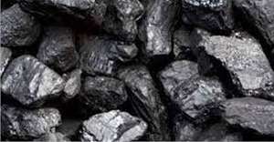 Charbon de bois - Product Image 3