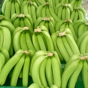 Свежие бананы, свежие фрукты высокого качества и по низкой цене