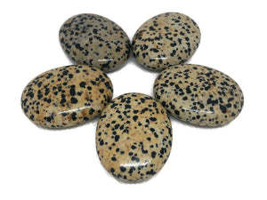 Pierre de méditation ovale en jaspe dalmatien naturel, polie, pour la guérison, la méditation, le Reiki et les chakras, vente en gros, agate de Rais - Product Image 2