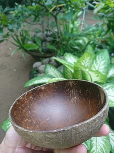 Le Moins Cher En Gros LOGO Personnalisé Bols De Noix de Coco ensemble De Vaisselle de HAUTE QUALITÉ EN GROS BOL DE NOIX DE COCO - Product Image 6