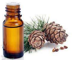 Huile essentielle de cèdre avec propriétés anti-âge et nourrissantes de l'arbre à thé, prix de gros pour l'aromathérapie et les soins de la peau - Product Image 2