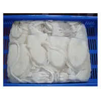乾燥イカの骨高品質ベトナムボックススタイル新鮮な冷凍カッターフィッシュ24ヶ月の生涯で完全に洗浄