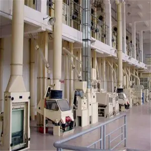 Auto Complete Rice Mill Rice Processing Mill Line 100T/D Raw Rice Paddy Processing