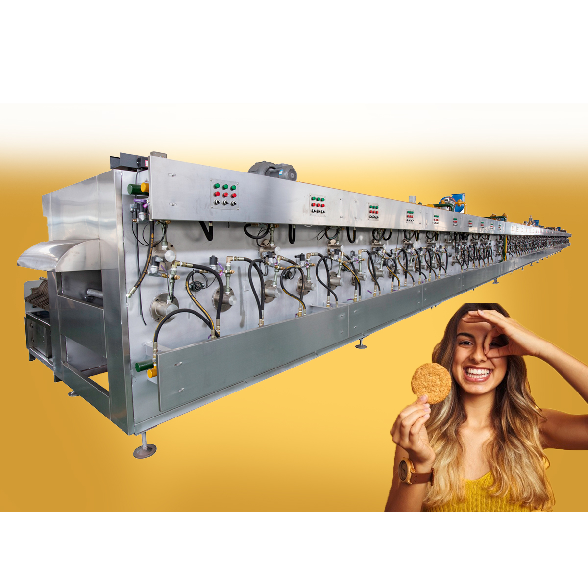 lower price biscuit diesel oven butter Mike cookie machine to make dog biscuit production line machine flour mixer Device