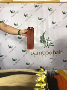 Extensions de cheveux naturels lisses, de couleur dégradées, pour femmes, chevelure vierge, tendance, - Product Image 4