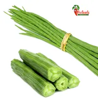 Fresh Vegetables Drumsticks, Exporter from India