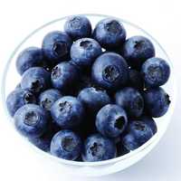 Premium Biologische Wilde IQF Verse GMO GAP Gecertificeerde Topkwaliteit Rijpheid 100 15kg USA Gekweekte Blauwe Bosbes