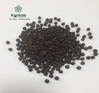 Zwarte Peper 400/ 500/ 550 Gl Mc/Faq Fabrikant Van Vietnam Beste Kwaliteit Contact Leverancier Mr. Henry + 84 368591192