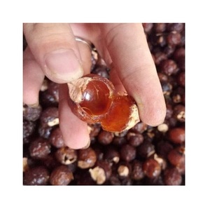 ¡Caliente! ¡Caliente! Soapnut-jabonera a granel, saponina, buena calidad - Product Image 1