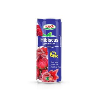 Jus de Sapodille Purée avec Pulpe en Bouteille en Verre, en Boîte ou en Conserve – Fabricant, Marque Privée, Vente en Gros, Approvisionnement Mondial - Product Image 4