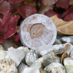 Culture de graines granulés de noix de coco 100% naturel, granulés de pith de coco bio, prix le plus bas pour les commandes en gros - Product Image 3