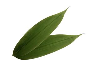 ใบไม้แห้งจากไม้ไผ่ 100% สำหรับซูชิ รุ่น FUTABA P18 จากจีน ผ่านกระบวนการป้องกันการแห้ง - Product Image 4