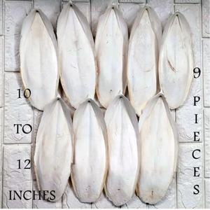 กระดูกปลาหมึกราคาถูก - ราคาดีที่สุดและคุณภาพสูง - เวียดนาม - IVY +84977157110 - Product Image 6