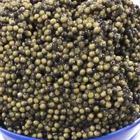 Bulk Beluga Caviar for Sale