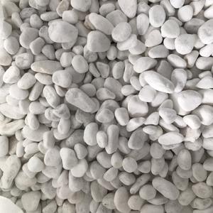 Piedra de grava de guijarro blanco para decoración de jardín, pavimento de paisajismo, el más vendido - Product Image 1