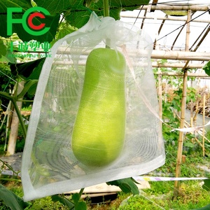 <span class=keywords><strong>Filet</strong></span> <span class=keywords><strong>anti</strong></span>-insectes en nylon transparent, sac de protection pour fruits, <span class=keywords><strong>filet</strong></span> de protection en maille - Product Image 2