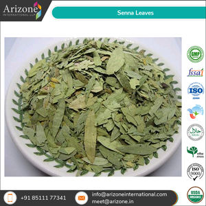 Proveedor al por mayor de hojas Senna de buena calidad al mejor precio - Product Image 4
