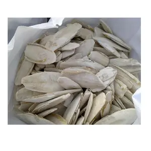 Gedroogde Inktvis Bone Big Size Premium Grade Goede Diervoeder Vogel Hoge Kwaliteit Gebleekte Of Natuurlijke Inktvis Bone